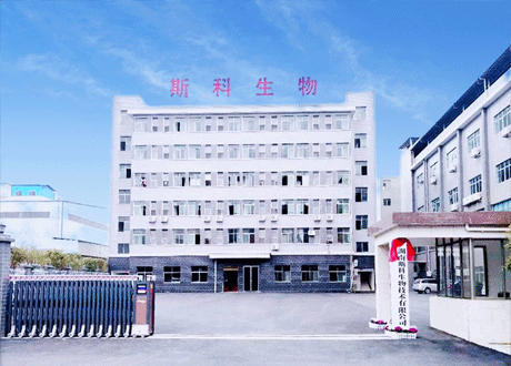 公司简介